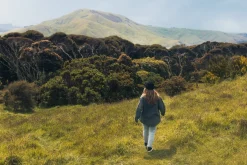 Rhythm Socks|Socks*Classic 3-Pack Socks Black